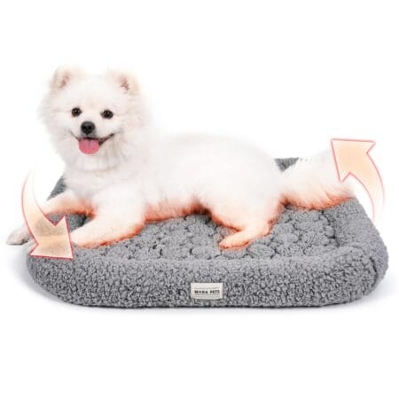 UK🇬🇧 FBA Free Shipping Cat Bed 121 in stock — Size M: £2.00, Size L: £2.50, All Clearance