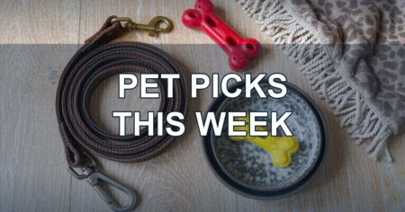 Top Picks: Pet Supplies & Accessories USA FBA Edition